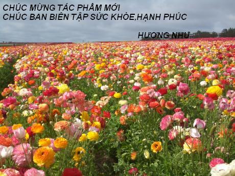  HỌC LỒNG CHỮ VÀO ẢNH